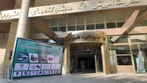 کنفرانس بینالمللی ماشینها و محرکههای الکتریکی